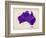 Australia Paint Splashes Map-Michael Tompsett-Framed Art Print