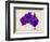 Australia Paint Splashes Map-Michael Tompsett-Framed Art Print