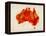 Australia Paint Splashes Map-Michael Tompsett-Framed Stretched Canvas