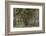 Australia, Perth, Kings Park, Trees on Fraser Avenue-Walter Bibikow-Framed Photographic Print