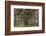 Australia, Perth, Kings Park, Trees on Fraser Avenue-Walter Bibikow-Framed Photographic Print