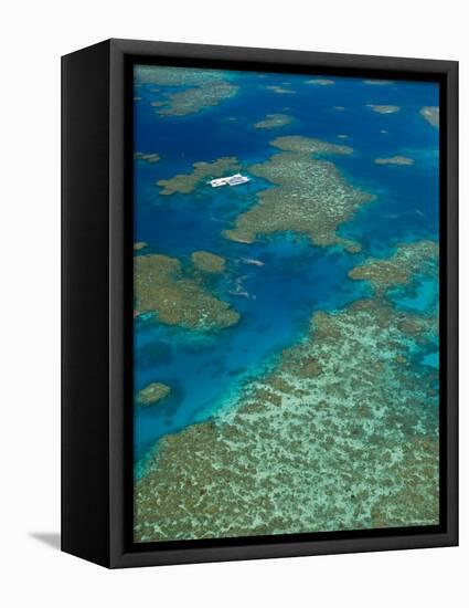 Australia, Queensland, North Coast, Cairns Area, Great Barrier Reef, Aerial View of Moore Reef-Walter Bibikow-Framed Premier Image Canvas