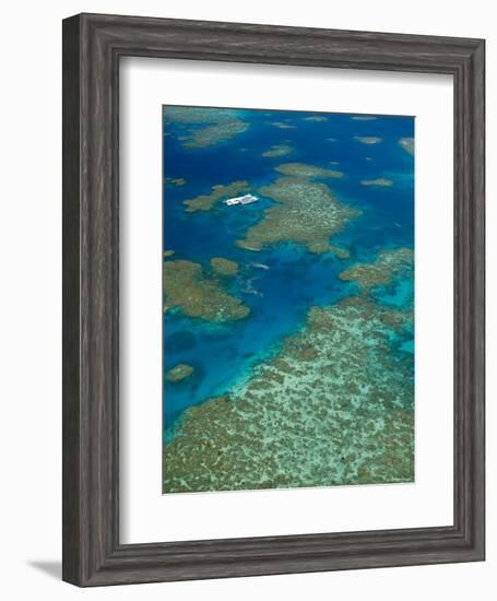 Australia, Queensland, North Coast, Cairns Area, Great Barrier Reef, Aerial View of Moore Reef-Walter Bibikow-Framed Photographic Print