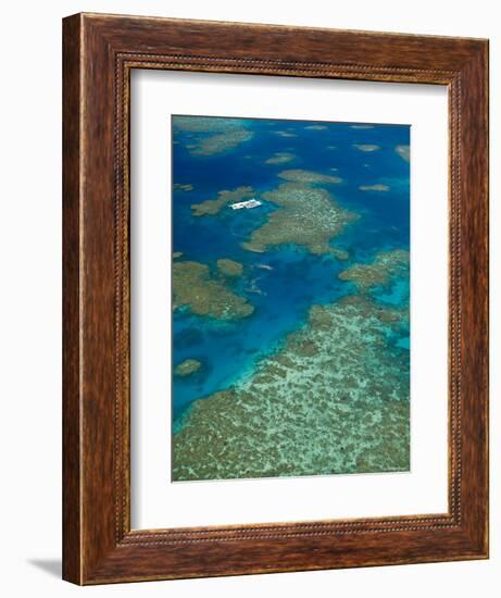 Australia, Queensland, North Coast, Cairns Area, Great Barrier Reef, Aerial View of Moore Reef-Walter Bibikow-Framed Photographic Print