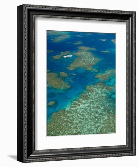 Australia, Queensland, North Coast, Cairns Area, Great Barrier Reef, Aerial View of Moore Reef-Walter Bibikow-Framed Photographic Print