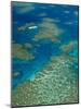 Australia, Queensland, North Coast, Cairns Area, Great Barrier Reef, Aerial View of Moore Reef-Walter Bibikow-Mounted Photographic Print