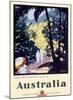 Australia Queensland Rain Forest-Unknown Unknown-Mounted Giclee Print