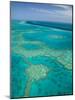 Australia, Queensland, Whitsunday Coast, Great Barrier Reef, Aerial View-Walter Bibikow-Mounted Photographic Print