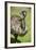 Australia, South Australia, Adelaide. Cleland Wildlife Park. Emu-Cindy Miller Hopkins-Framed Photographic Print