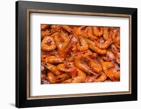 Australia, Sydney Fish Market, Shrimp-Walter Bibikow-Framed Photographic Print