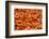 Australia, Sydney Fish Market, Shrimp-Walter Bibikow-Framed Photographic Print