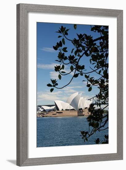 Australia, Sydney. View of the Sydney Opera House and Harbor Bridge-Cindy Miller Hopkins-Framed Photographic Print