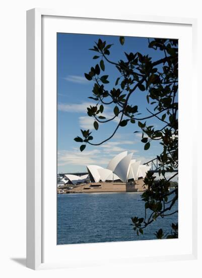 Australia, Sydney. View of the Sydney Opera House and Harbor Bridge-Cindy Miller Hopkins-Framed Photographic Print