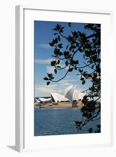 Australia, Sydney. View of the Sydney Opera House and Harbor Bridge-Cindy Miller Hopkins-Framed Photographic Print