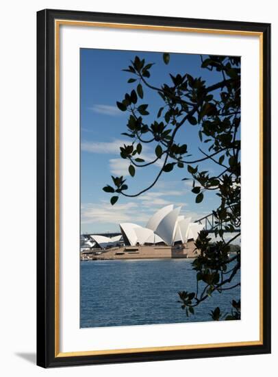 Australia, Sydney. View of the Sydney Opera House and Harbor Bridge-Cindy Miller Hopkins-Framed Photographic Print