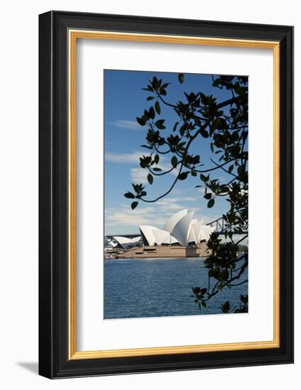 Australia, Sydney. View of the Sydney Opera House and Harbor Bridge-Cindy Miller Hopkins-Framed Photographic Print