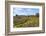 Australia, Tasmania, Cradle Mountain-Lake St Clair NP Button grass moorland. Overland Track-Trish Drury-Framed Photographic Print