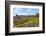 Australia, Tasmania, Cradle Mountain-Lake St Clair NP Button grass moorland. Overland Track-Trish Drury-Framed Photographic Print