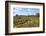 Australia, Tasmania, Cradle Mountain-Lake St Clair NP Button grass moorland. Overland Track-Trish Drury-Framed Photographic Print
