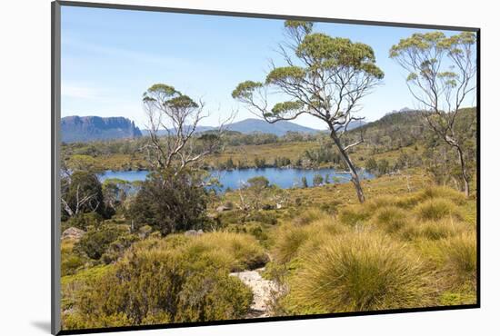 Australia, Tasmania. Cradle Mountain-Lake St. Clair NP. Lake Windermere, Mount Oakleigh.-Trish Drury-Mounted Photographic Print