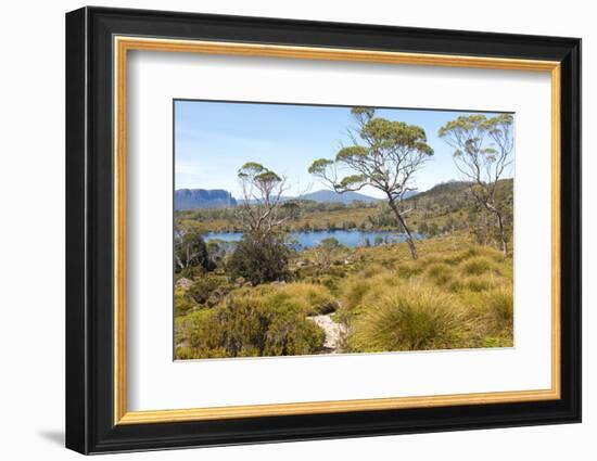 Australia, Tasmania. Cradle Mountain-Lake St. Clair NP. Lake Windermere, Mount Oakleigh.-Trish Drury-Framed Photographic Print