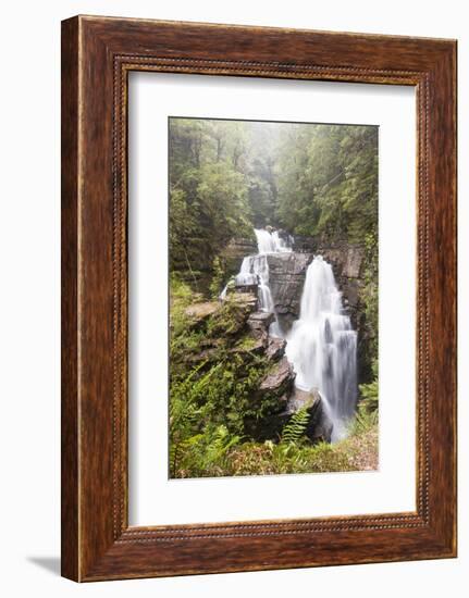 Australia, Tasmania. Cradle Mountain-Lake St. Clair NP, Overland Track. D'alton Falls on side trail-Trish Drury-Framed Photographic Print