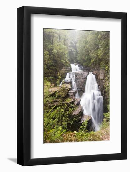 Australia, Tasmania. Cradle Mountain-Lake St. Clair NP, Overland Track. D'alton Falls on side trail-Trish Drury-Framed Photographic Print