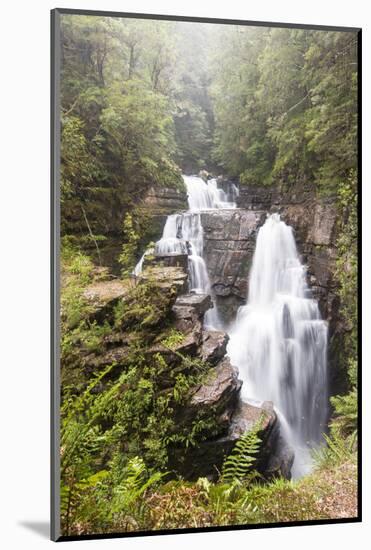 Australia, Tasmania. Cradle Mountain-Lake St. Clair NP, Overland Track. D'alton Falls on side trail-Trish Drury-Mounted Photographic Print