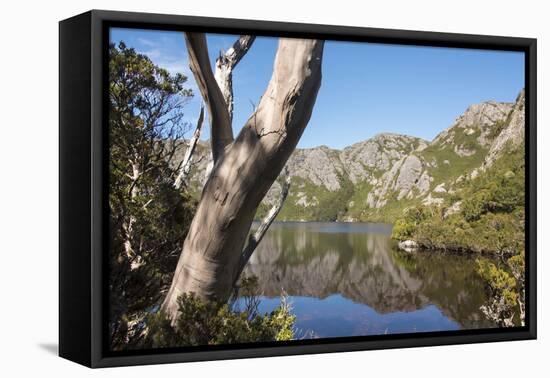 Australia, Tasmania, Cradle Mountain-Lake St Clair NP. Reflected mountains in Crater Lake.-Trish Drury-Framed Premier Image Canvas