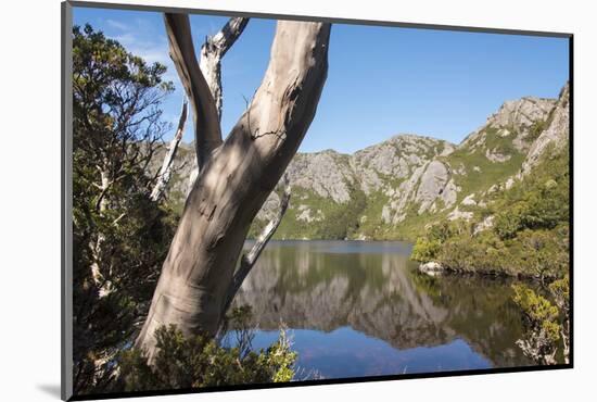 Australia, Tasmania, Cradle Mountain-Lake St Clair NP. Reflected mountains in Crater Lake.-Trish Drury-Mounted Photographic Print