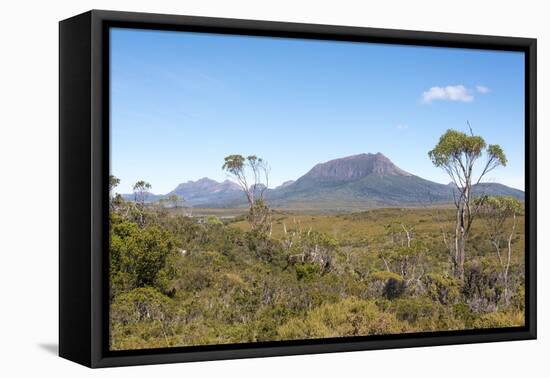 Australia, Tasmania, Cradle Mountain-Lake St Clair NP. Vistas from Overland Track.-Trish Drury-Framed Premier Image Canvas