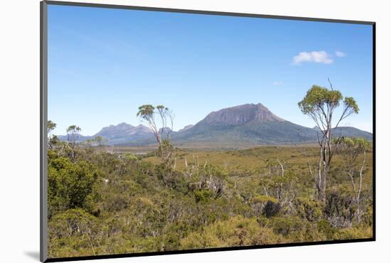 Australia, Tasmania, Cradle Mountain-Lake St Clair NP. Vistas from Overland Track.-Trish Drury-Mounted Photographic Print