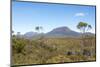 Australia, Tasmania, Cradle Mountain-Lake St Clair NP. Vistas from Overland Track.-Trish Drury-Mounted Photographic Print
