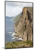 Australia, Tasmania. Dolerite columns Cape Hauy track Three Capes Track.-Trish Drury-Mounted Photographic Print