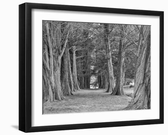 Australia, Tasmania, Port Arthur Entryway-John Ford-Framed Photographic Print