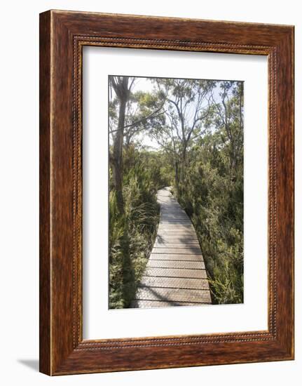 Australia, Tasmania, Tasman National Park. Three Capes Track Cape Hauy boardwalk.-Trish Drury-Framed Photographic Print