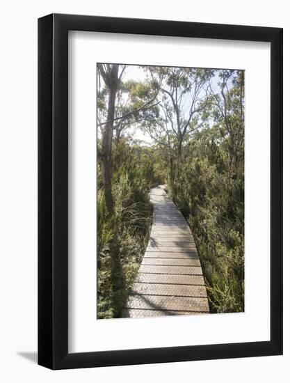 Australia, Tasmania, Tasman National Park. Three Capes Track Cape Hauy boardwalk.-Trish Drury-Framed Photographic Print