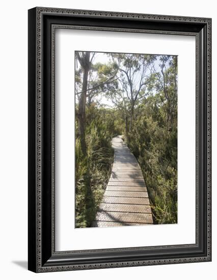 Australia, Tasmania, Tasman National Park. Three Capes Track Cape Hauy boardwalk.-Trish Drury-Framed Photographic Print