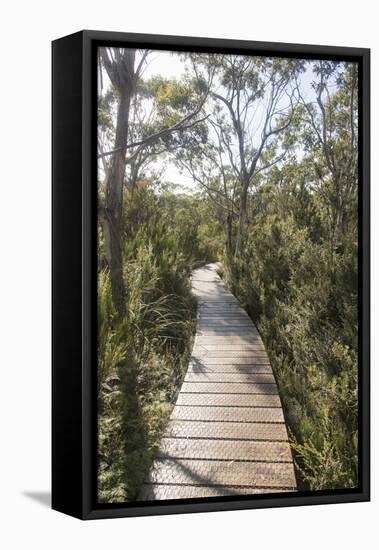 Australia, Tasmania, Tasman National Park. Three Capes Track Cape Hauy boardwalk.-Trish Drury-Framed Premier Image Canvas