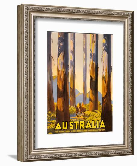 Australia - The Tallest Trees in the British Empire - Marysville, Victoria-Percy Trompf-Framed Art Print