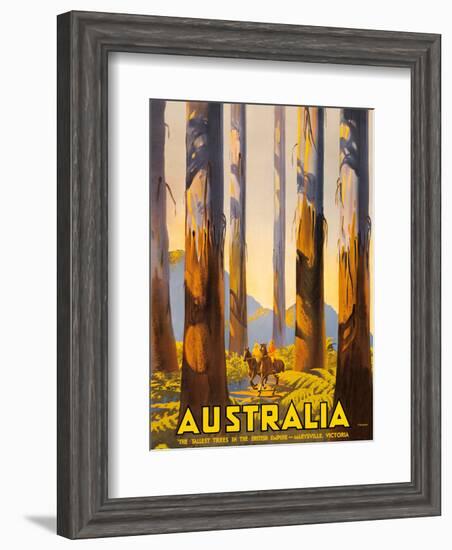 Australia - The Tallest Trees in the British Empire - Marysville, Victoria-Percy Trompf-Framed Art Print