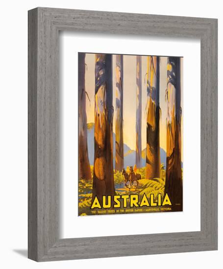 Australia - The Tallest Trees in the British Empire - Marysville, Victoria-Percy Trompf-Framed Art Print