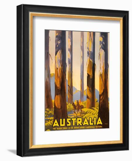 Australia - The Tallest Trees in the British Empire - Marysville, Victoria-Percy Trompf-Framed Art Print