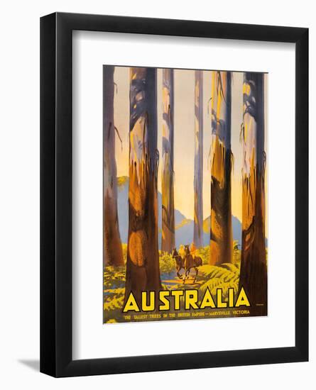 Australia - The Tallest Trees in the British Empire - Marysville, Victoria-Percy Trompf-Framed Art Print