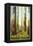 Australia Travel Poster, Trees-null-Framed Stretched Canvas