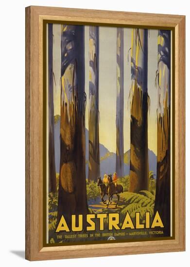 Australia Trees-null-Framed Premier Image Canvas
