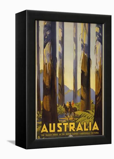 Australia Trees-null-Framed Premier Image Canvas