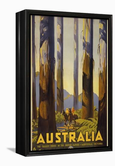 Australia Trees-null-Framed Premier Image Canvas