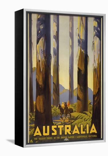 Australia Trees-null-Framed Premier Image Canvas