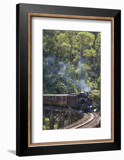 Australia, Victoria, Belgrave, Puffing Billy Steam Train-Walter Bibikow-Framed Photographic Print